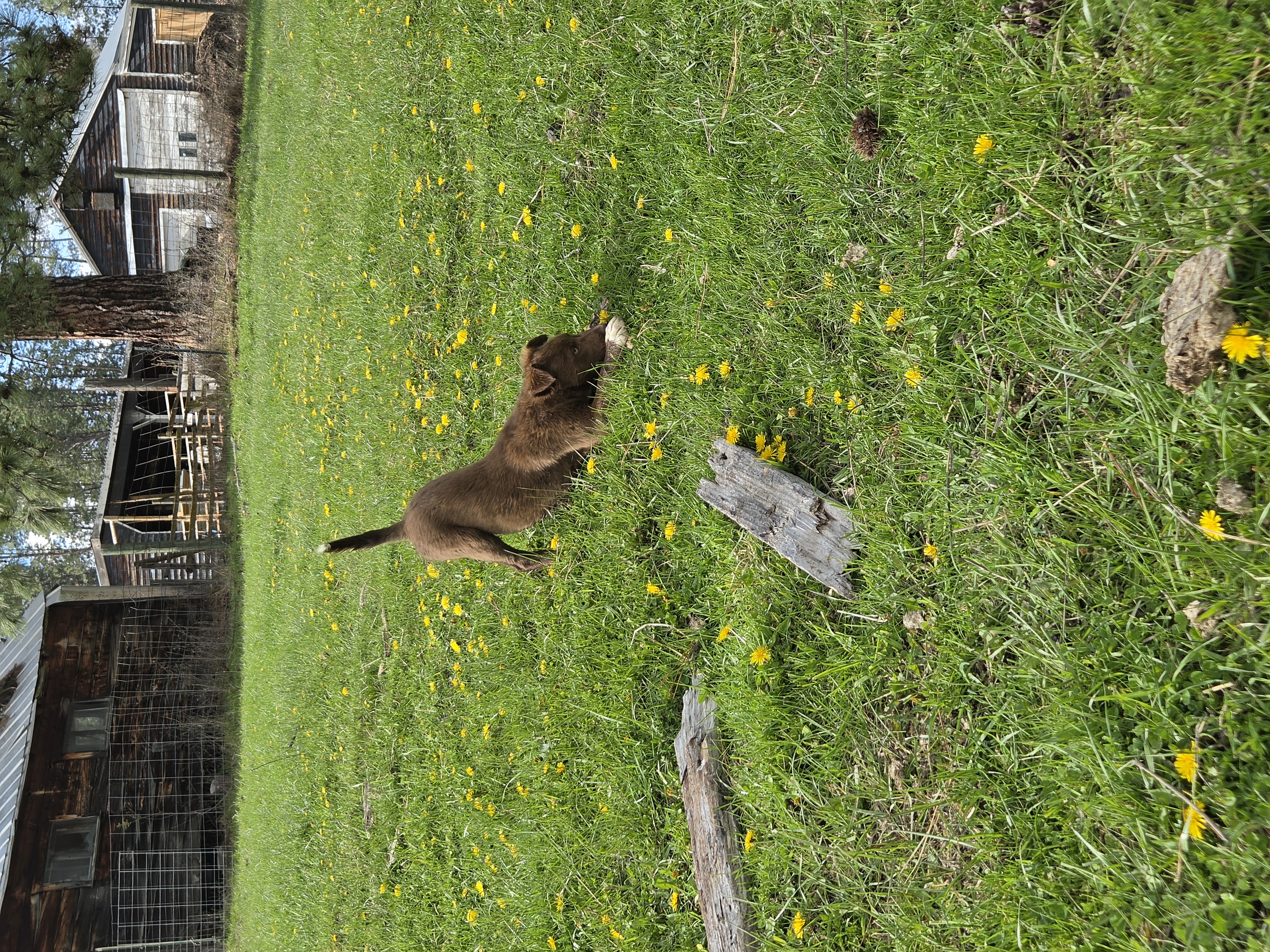 Mags photo 3